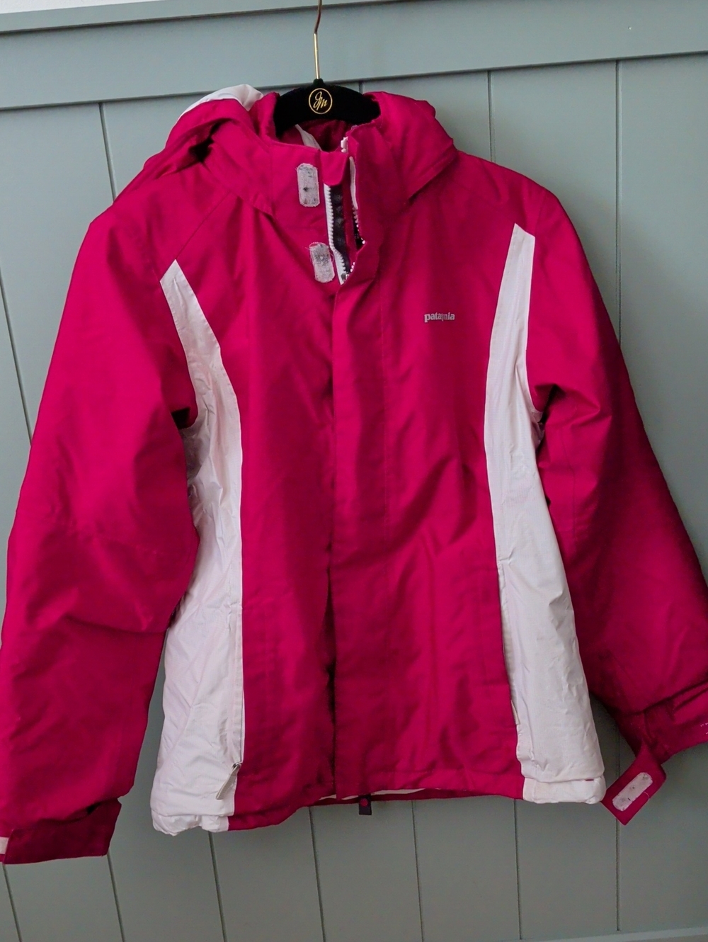 Patagonia Hooded Ski Jacket